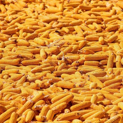 蒲城离哈尔滨多少公里相关长尾关键词有哪些