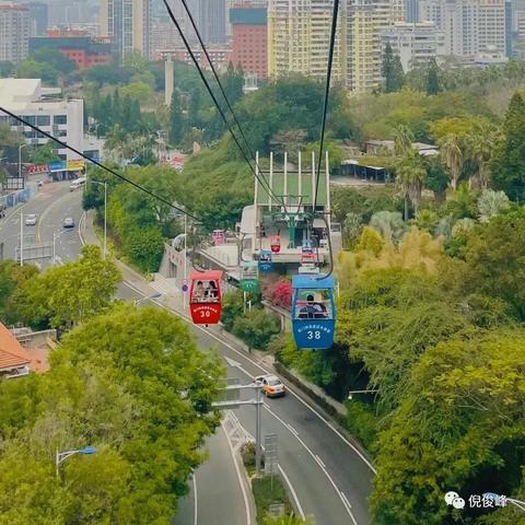 钟鼓厦门的相关长尾关键词有哪些