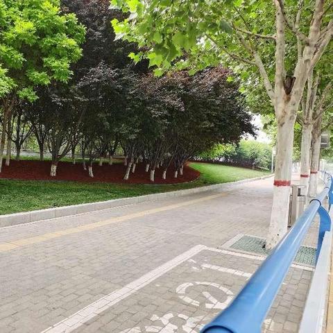 石家庄市整形外科的长尾关键词有什么