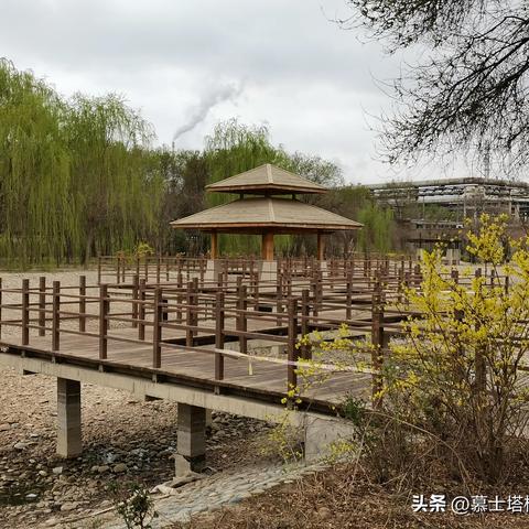 兰州市植物园人工湖在哪里