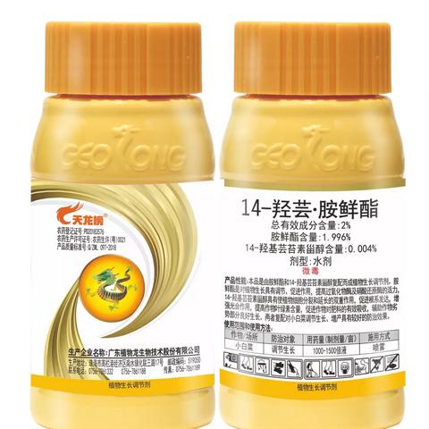 未来双财生肖龙运势(生肖龙2022年财运)