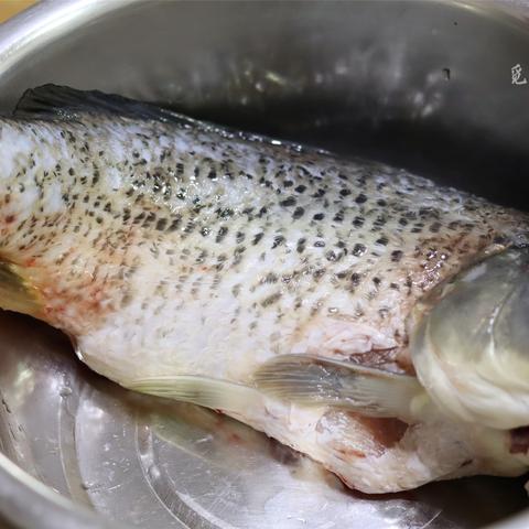 河南鲤鱼怎么样