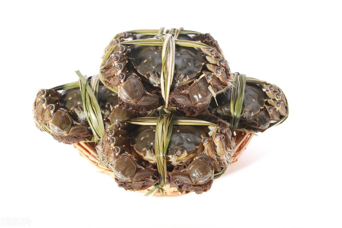 煮熟的螃蟹可以冷冻几天煮熟的螃蟹冷冻可以放多久呢