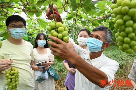 盐都区大冈镇迈开共同富裕新步伐