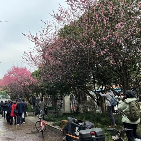 杭州市绿化怎么样