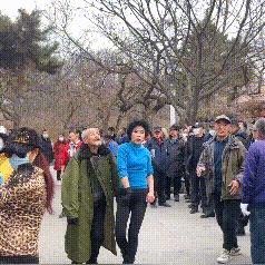 沈阳市好的公园是哪个