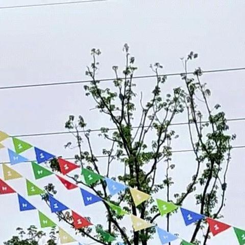 河南南阳口碑怎么样