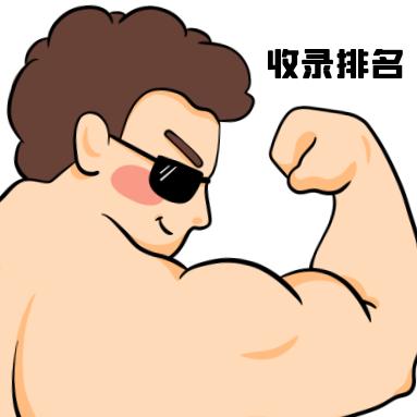做app seo用什么软件