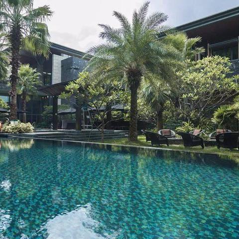 广州有什么茶出名？