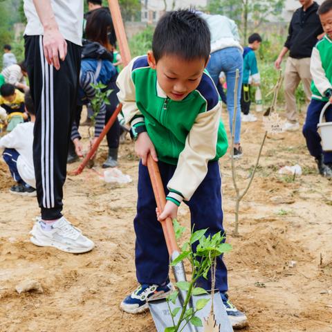 南宁市初中重点班怎么分