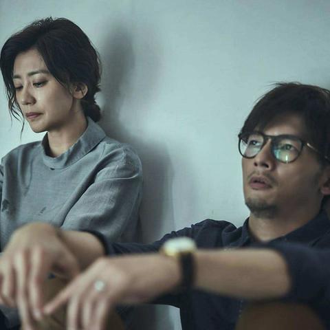 生肖马鸡今年运势(属马鸡2021年运势及运程详解)