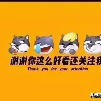 2024龙宝宝取名五行命理(2024年龙宝宝忌讳几月出生)