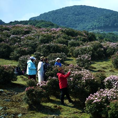 重庆大学李娜老师简历照片的长尾关键词有什么