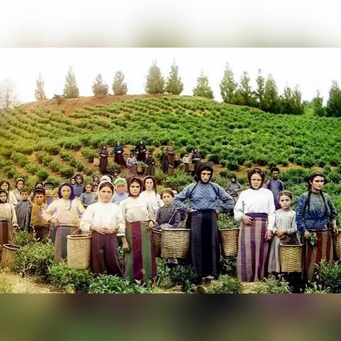 哈尔滨市里哪地方卖茶叶的店铺最集中？