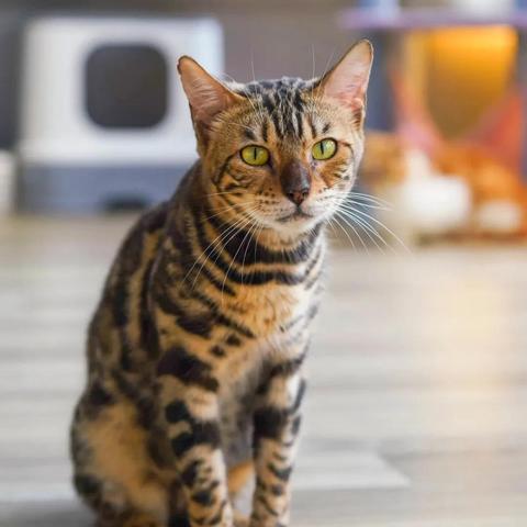 济南市超市有什么零食