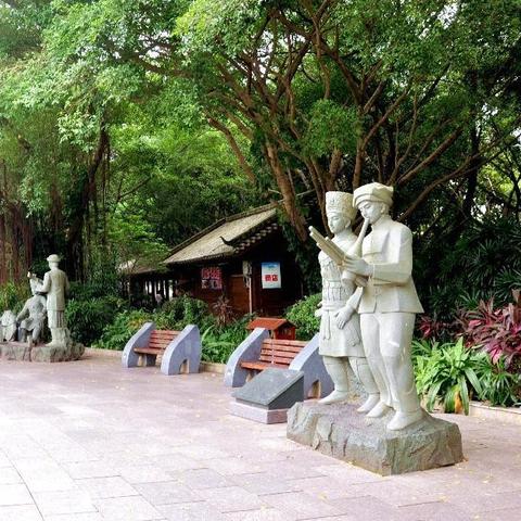 南宁市走公车道怎么罚款