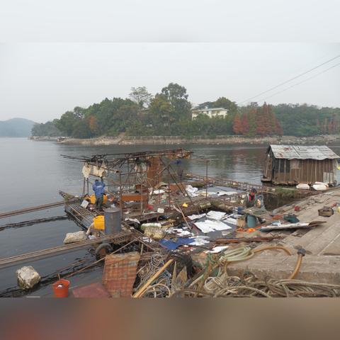 南宁市最差的是哪个区