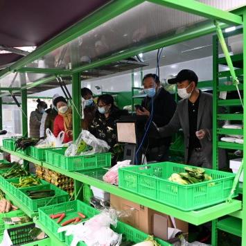 西安市阿姨买菜怎么样呀