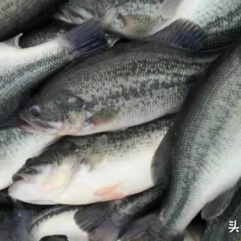 广东省佛山市秋天美景图的长尾关键词有什么