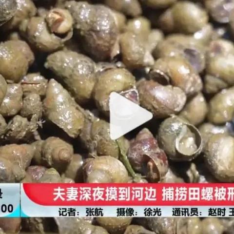 福建田螺捕捞船怎么样