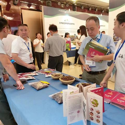 2023羊年生肖运势查询(2023年生肖羊运势详解)