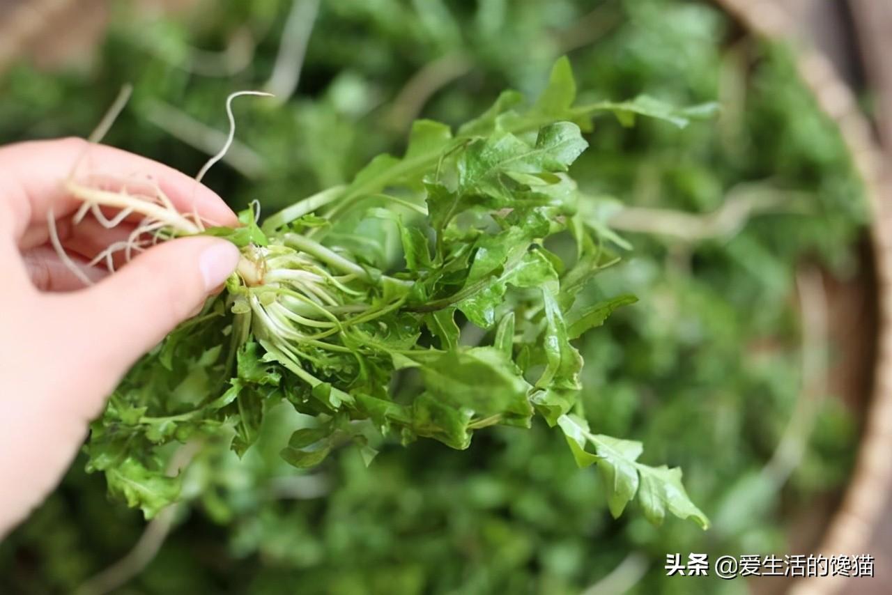 节气雨水吃什么美食（农家院子里可以种植哪些瓜果蔬菜）