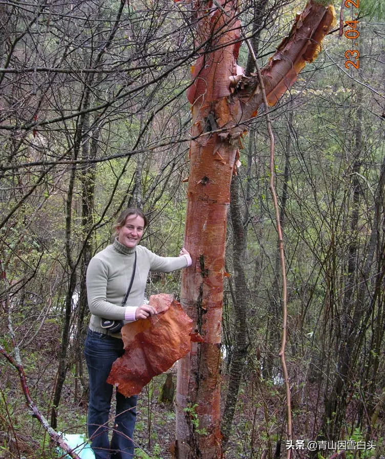 生命树教育怎么赚钱 搞教育赚钱吗