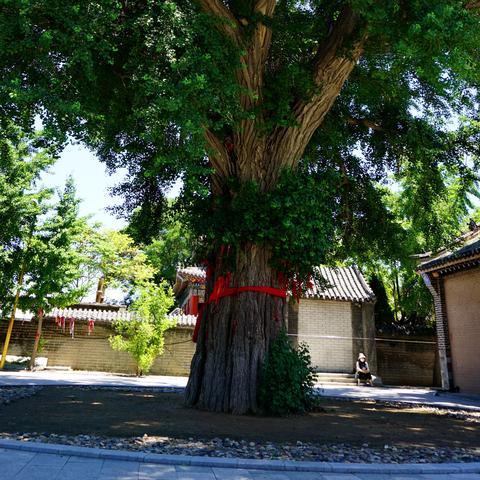 大连市寺院哪个灵验