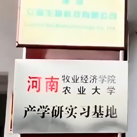 盘点在上海市侵权找谁投诉相关关键词有哪些