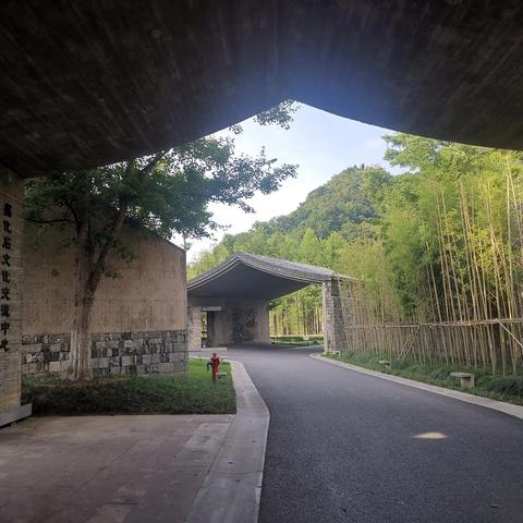 临安离杭州哪个区近？