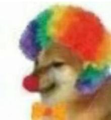 小丑竟在我身边表情包