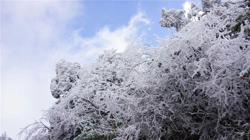 农业气象论文写作如何写好农业统计分析报告