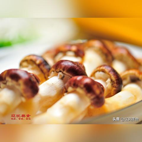 沈阳甲鱼苗相关长尾关键词有哪些