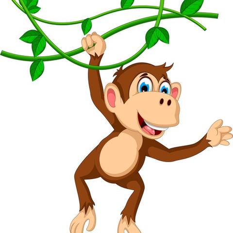 十二生肖狗男的运势(生肖狗男的性格特点)