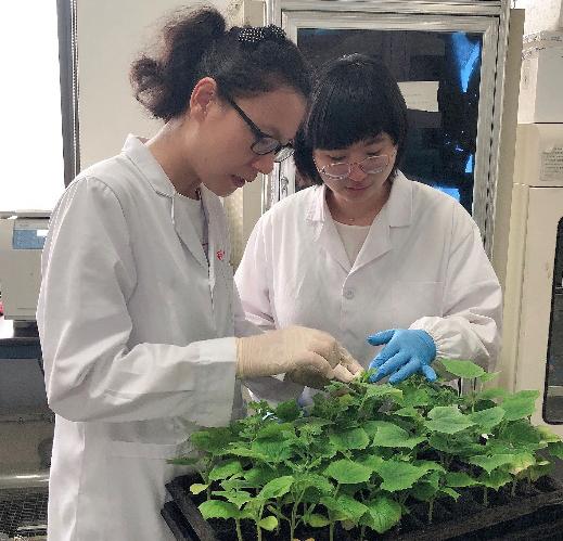 农药科学与管理论文资源网百度阿里同时举行AI发布会