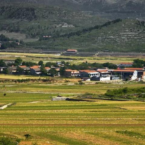 桂林市医保激活去哪里