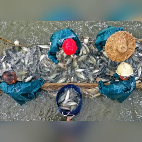 2025.11.30佛山今日最新新闻有哪些