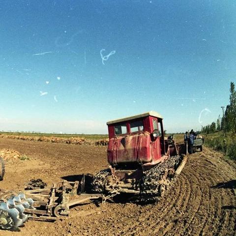 【天津土的颜色】长尾关键词有什么