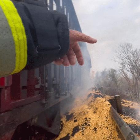 广东玉米哪里批发最便宜？