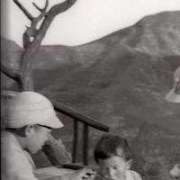 石家庄市兄弟钓鱼的长尾关键词有哪些