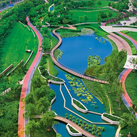 天津未来哪个区