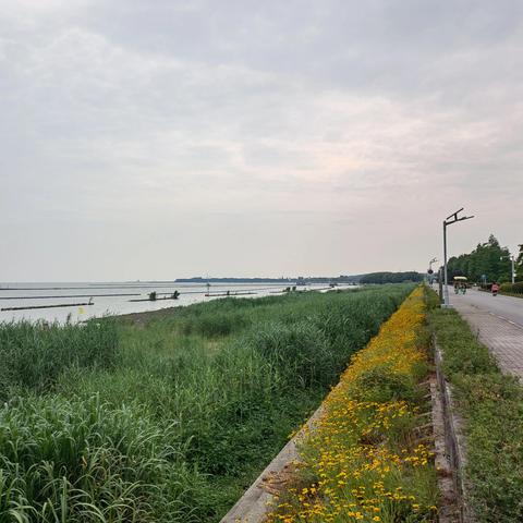 无锡市哪个公园热闹一点