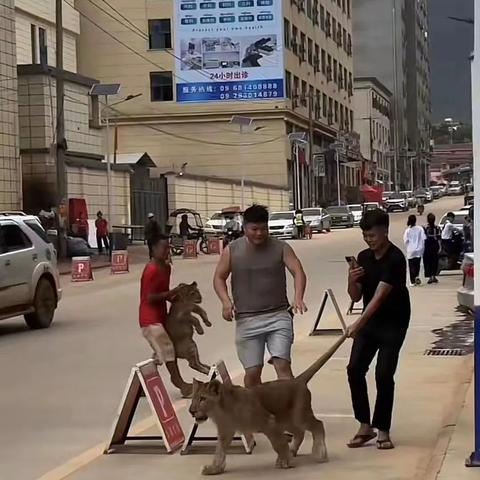 堂弟在福建怎么样