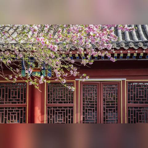 石家庄市红楼地址在哪里的长尾关键词有什么