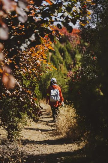 天津爬山的公园哪个好