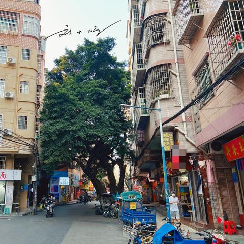 广州市有些什么地方