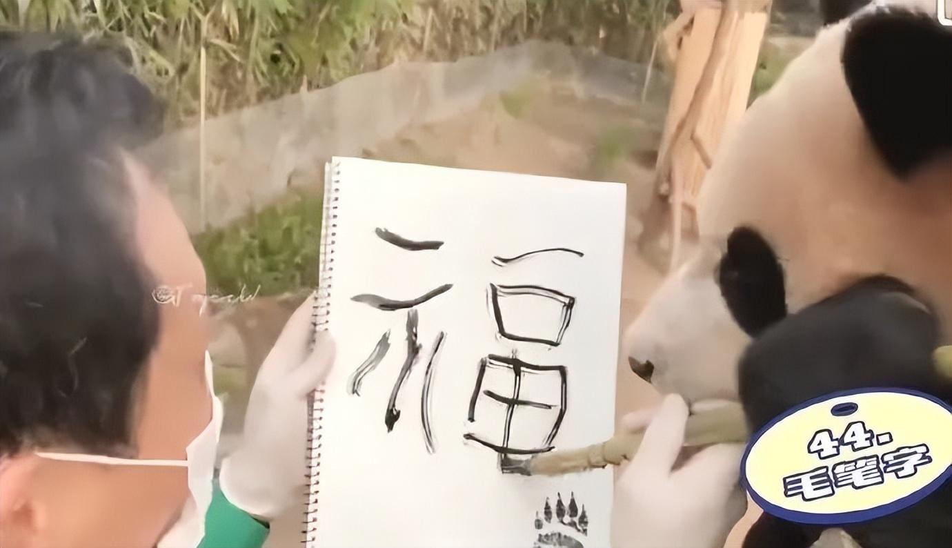 女宝宝起名姓花怎么取名(荷花有什么好听名称)
