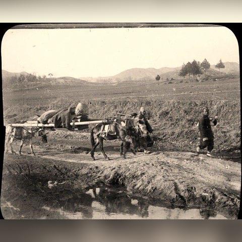 河南骂人方言视频的相关长尾关键词有哪些