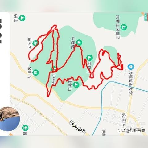 温州市巨龙小区的长尾关键词有什么