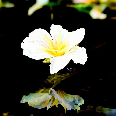 桂林市收费停车场在哪里